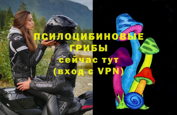 экстази Арсеньев