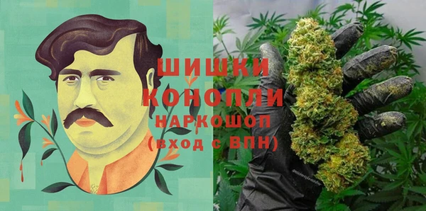 гидра Аркадак
