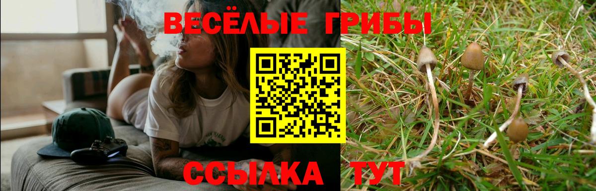 Сердобск  цена наркотик  Псилоцибиновые грибы MAGIC MUSHROOMS  Вход с VPN  Псилоцибиновые грибы прущие грибы 