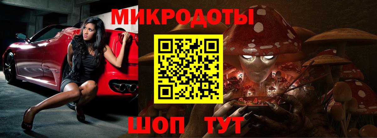 Псилоцибиновые грибы Psilocybe Сердобск